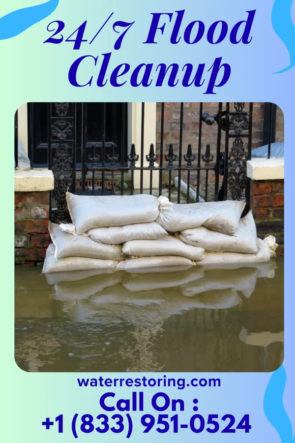 24/7 Flood Cleanup in Tarrytown, GA