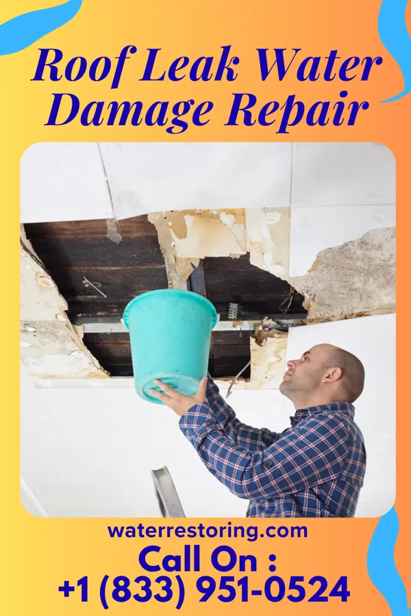 Roof Leak Water Damage Repair in Tarrytown, GA